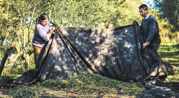 Βόνιτσα:Ανάδειξη προϊόντων υψηλής ποιότητας που παράγονται από μικρές οικογενειακές μονάδες