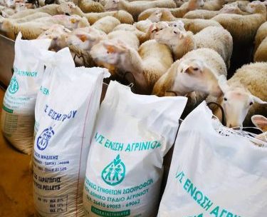 Ένωση Αγρινίου – Αιγοπρόβατα: Συμβουλές για τη σωστή διατροφή τους