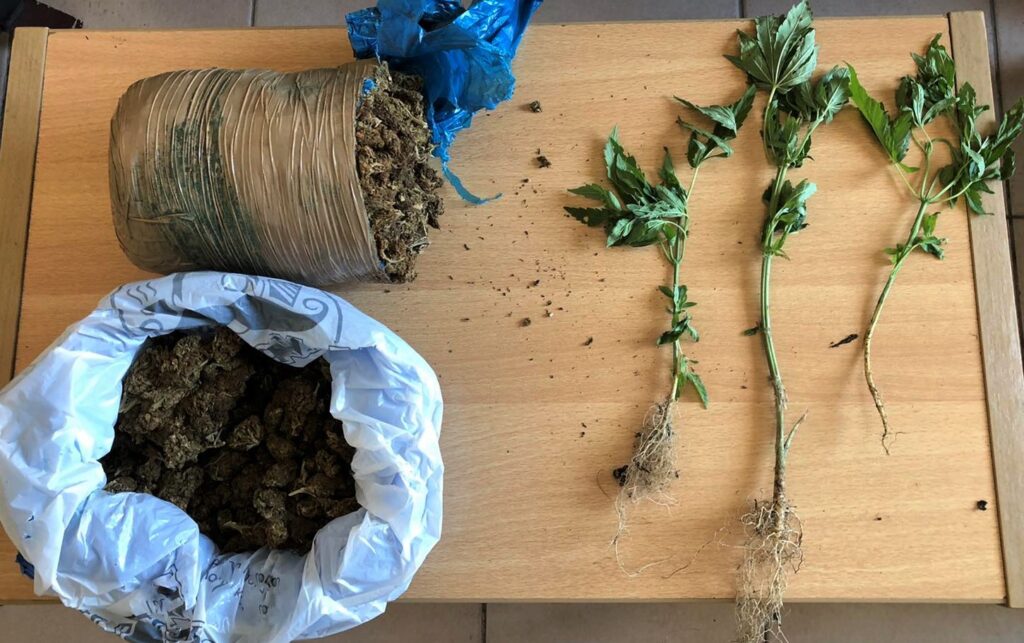 “Ντου” αστυνομικών σε οικία στη Βόνιτσα-Σύλληψη για χασίς και δενδρύλλια κάνναβης