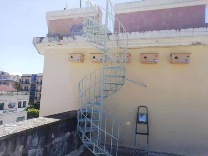 Φορέας Διαχείρισης Λιμνοθάλασσας Μεσολογγίου – Ακαρνανικών Ορέων: Δράση για το απειλούμενο Κιρκινέζι (ΦΩΤΟ)