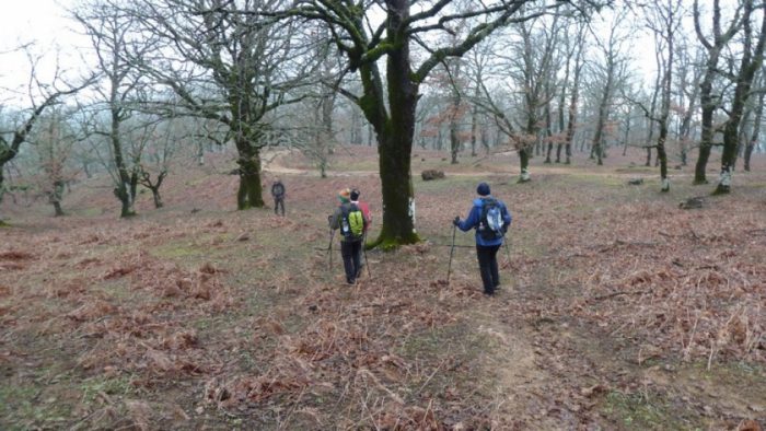 Πεζοπορία του ορειβατικού συλλόγου Μεσολογγίου στον Αράκυνθο