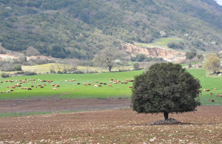 Βιολογικά: άνοιξε το σύστημα για τροποποιήσεις-μεταβιβάσεις