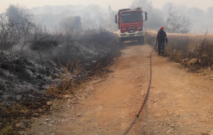 Φωτιά Θύρρειο: Κάηκαν ζώα και χιλιάδες στρέμματα δάσους(φωτο)-Περιοδεία της Τ.Ο. Αιτωλοακαρνανίας του ΚΚΕ