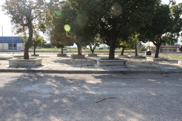 Τσιμεντωμένα δέντρα…Μια καινοτομία στο Αγρίνιο