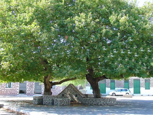 Αποκαλυπτήρια Μνημείου Ηρώων και Αγωνιστών του 1821 στην Κωνωπίνα την Τρίτη 17 Αυγούστου