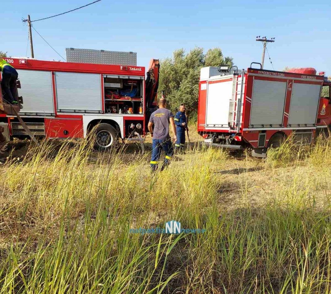 Μακύνεια Ναυπάκτου:Στάχτη 8 στρέμματα σε έκταση κοντά στη θάλασσα-Σώθηκε τελευταία στιγμή παρακείμενη οικία από τις φλόγες