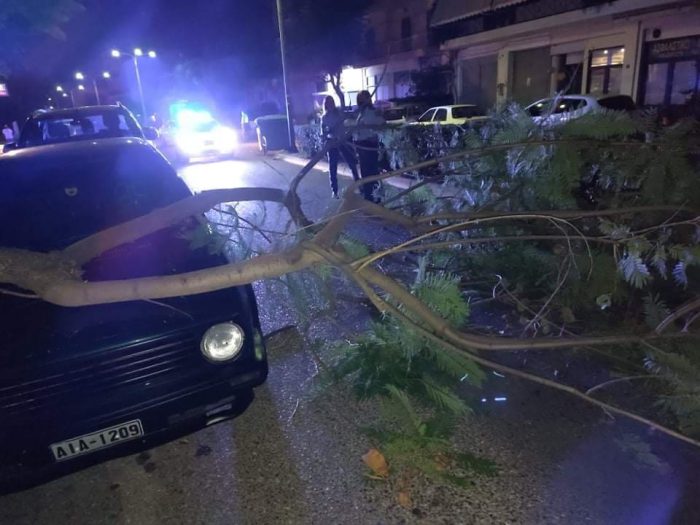 Αγρίνιο: Ζημιές σε ιχ από πτώση κλαδιού (ΦΩΤΟ)