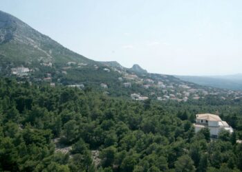 Δασικά αυθαίρετα – Πώς οι ιδιοκτήτες θα σώσουν το ακίνητό τους