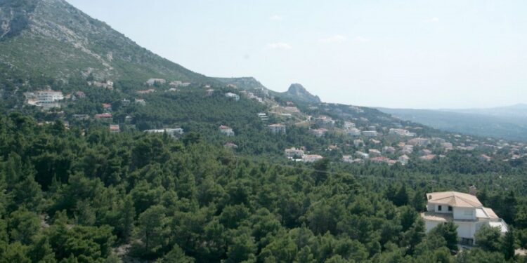 Δασικά αυθαίρετα – Πώς οι ιδιοκτήτες θα σώσουν το ακίνητό τους