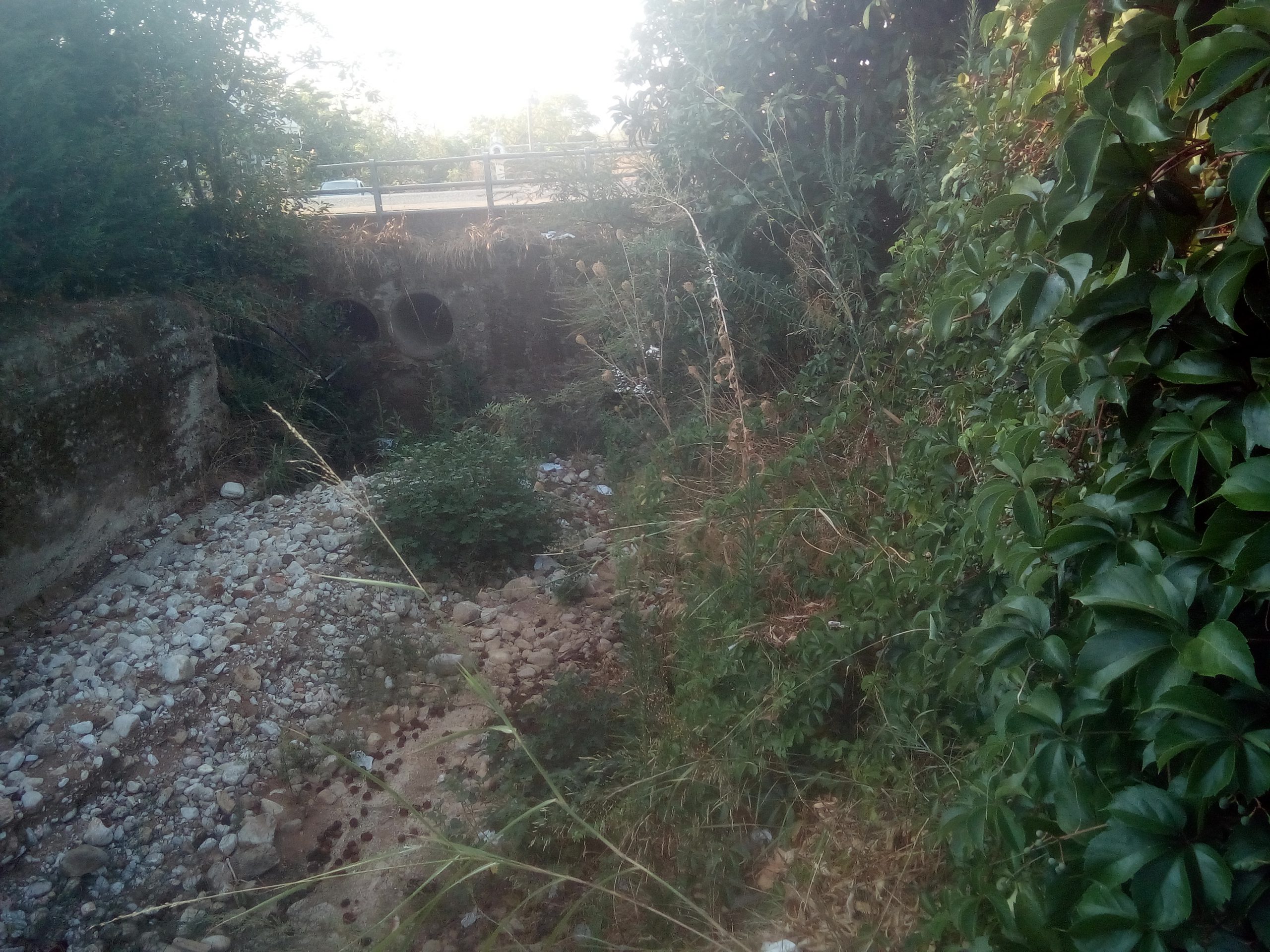 Τραπεζιώτης: 2017- 2021, ουδεμία παρέμβαση-Το λιγορεμα πλημμυρίζει και οι περιουσίες των πολιτών του δήμου Αγρινίου καταστρέφονται