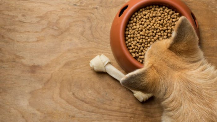 Φρόντισε για τις λιχουδιές του κατοικιδίου σου από το καλύτερο online Pet shop στη Θεσσαλονίκη