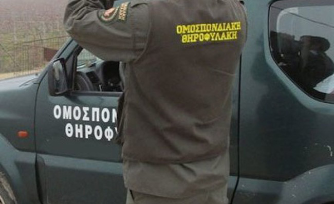 Δήμος Αμφιλοχίας: Επίθεση κυνηγού σε ομοσπονδιακό θηροφύλακα