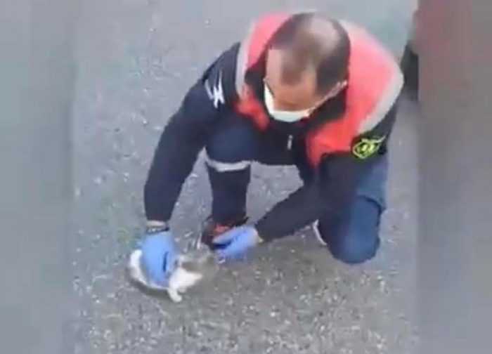 Διασώστες του ΕΚΑΒ Αγρινίου προσφέρουν βοήθεια σε άρρωστο γατάκι(βιντεο)