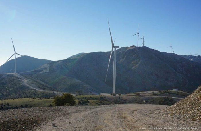 Ορνιθολογική Εταιρεία: Να ανακληθούν οι νέες άδειες αιολικών στα Ακαρνανικά Όρη