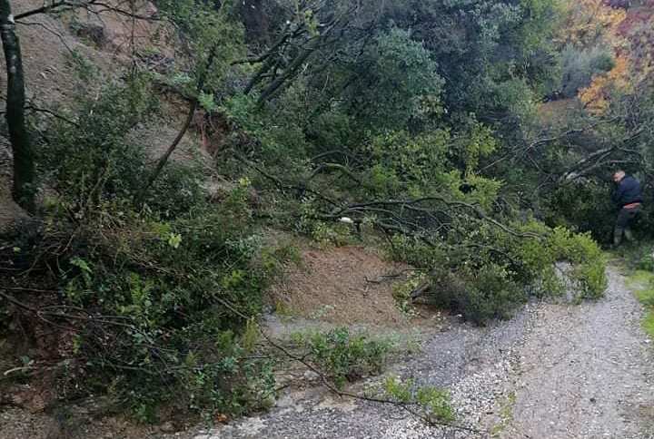 Μακρυνεία: Αγρότες, κτηνοτρόφοι & κάτοικοι σε απόγνωση -Ζητούν άμεσα αποζημίωση