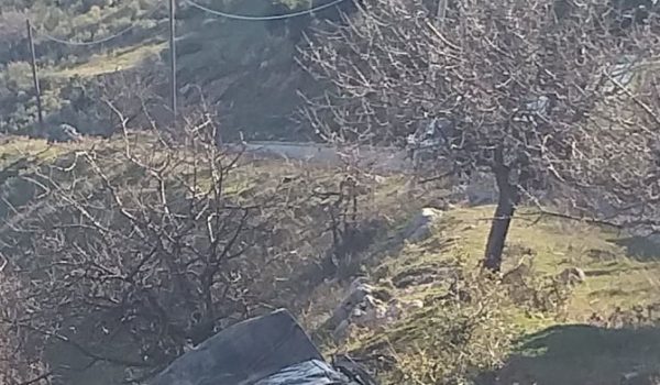 Δυτ.Ελλάδα: Θρίλερ με απανθρακωμένο πτώμα μέσα σε αυτό το αυτοκίνητο