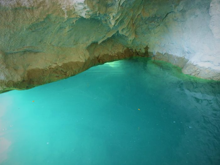 Καταφύγια άγριας ζωής……στο ρου του Αχελώου! (φωτο)