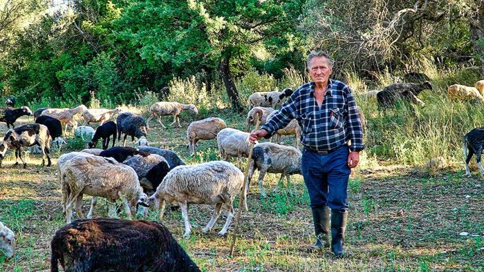 Η ορεινή φάρμα του Μπάμπη στο Κυπαρίσσι Πρασιάς