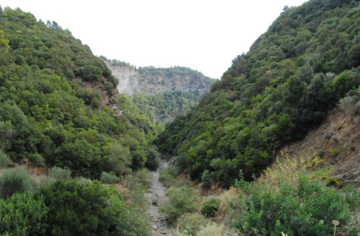 Ναυπακτία: Έρωτας έως θανάτου! Μια τραγική ιστορία αγάπης