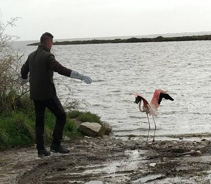 ΦΔΛΜ-ΑΟ: Δράσεις για την Παγκόσμια Ημέρα Υγροτόπων