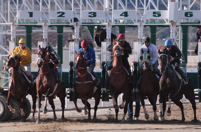 5 χρυσοί κανόνες για το στοίχημα σε ιπποδρομίες