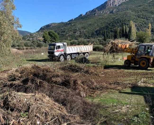 Καθαρισμός Εθνικού Πάρκου Λιμνοθαλασσών Μεσολογγίου – Αιτωλικού από τον Φορέα Διαχείρισης Λιμνοθάλασσας Μεσολογγίου