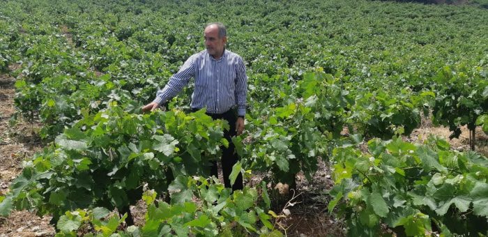 Απ.Κατσιφάρας:Απλήρωτοι οι αμπελοπαραγωγοί για πάνω από 1,5 χρόνο