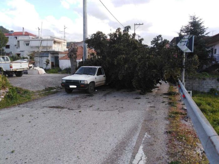 Θέρμο: Πτώση δέντρου πάνω σε διερχόμενο όχημα-Άγιο είχε ο οδηγός