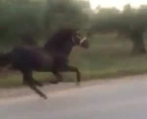 Το δράμα του 16χρονου που τραυματίστηκε στο Γαλατά Αιτωλ/νίας