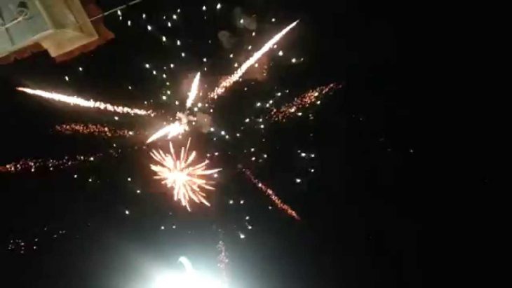 Σκυλάκι πέθανε από τρόμο για τα βεγγαλικά – Δεκάδες εξαφανίσεις ζώων μετά την Ανάσταση