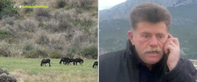 Ο πρόεδρος της κοινότητας Γαλατά για το τροχαίο των δύο παιδιών με άλογο