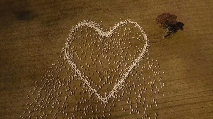 Αυτό το τρόφιμο μειώνει αισθητά τον κίνδυνο καρδιακών παθήσεων