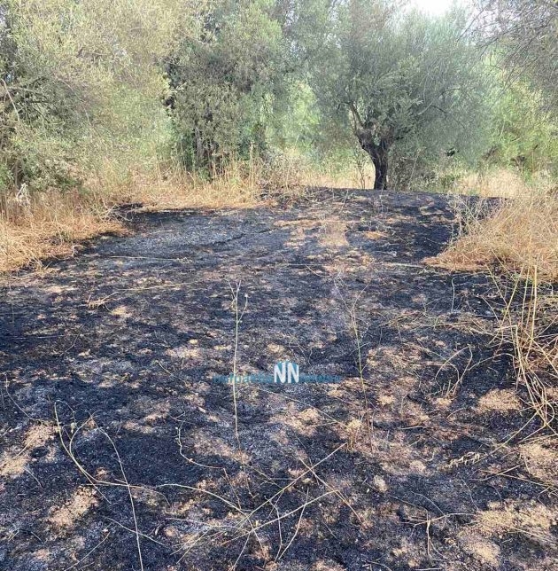 Πυρκαγιά ξέσπασε στην Άνω Βασιλική Ναυπακτίας