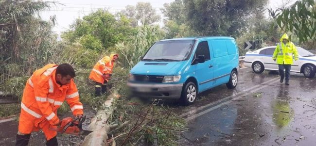 Παναιτώλιο: Πτώση δέντρου πάνω σε διερχόμενο όχημα