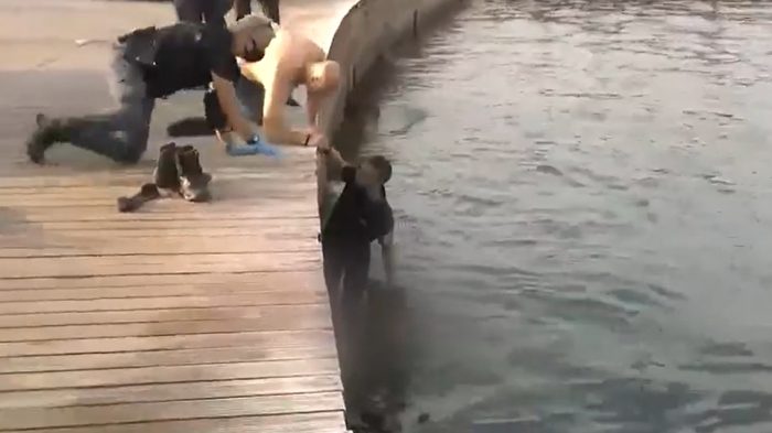 ΑΠΘ: Καταδίωξη διακινητών ναρκωτικών – Αιμόφυρτος ο 22χρονος που είχε βουτήξει στον Θερμαϊκό