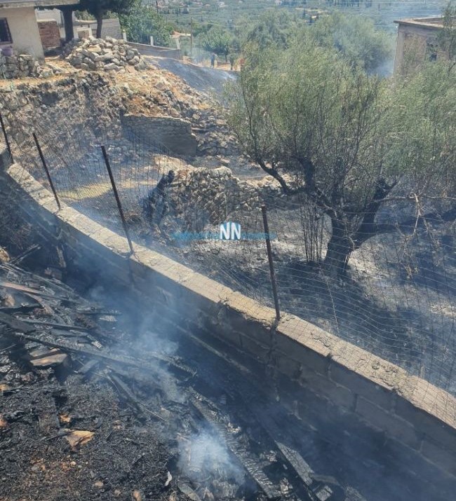 Ναυπακτία-Μαμουλάδα: Τέθηκε υπό έλεγχο η πυρκαγιά με την άμεση παρέμβαση της Π.Υ.