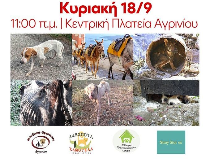 Αγρίνιο: Συγκέντρωση την Κυριακή φιλοζωικών οργανώσεων κατά της κακοποίησης των ζώων