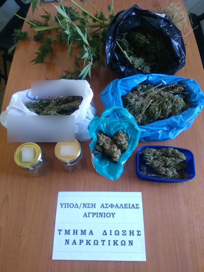 Συνελήφθη καλλιεργητής ναρκωτικών στην Αιτωλοακαρνανία-σε αγρόκτημα του είχε φούντες και δενδρύλλια