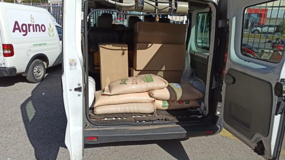 Πρόγραμμα για εκπαιδευτικούς της ΠΕ Αιτωλ/νίας «έξι νύχτες στην ακρόπολη»