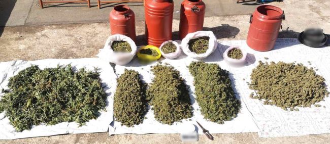 Συνελήφθησαν δυο διακινητές ναρκωτικών στην Αιτωλοακαρνανία-Κατασχέθηκε μεγάλη ποσότητα κάνναβης