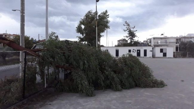Ζημιές από την κακοκαιρία στο γήπεδο του Ελαιοφύτου