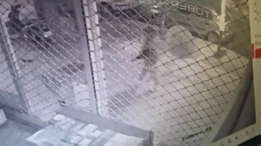 Αγρίνιο: Κάμερα την «τσάκωσε» να κλέβει καναρίνι! (βιντεο)