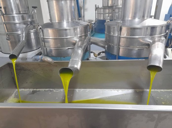 Μεσολόγγι: Στα ελαιοτριβεία του νυχτερινού μόχθου και του χρυσοπράσινου θησαυρού