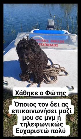 Χάθηκε σκυλάκι το βράδυ της Ανάστασης στην Ματαράγκα