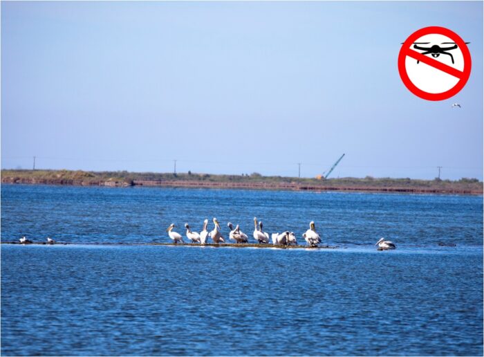 H πτήση drone σε Προστατευόμενες Περιοχές απαιτεί ειδική