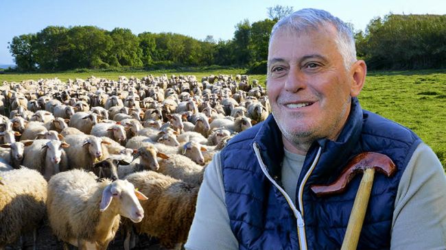 Η ζωή στη φάρμα με τον Σαρακατσάνο Κώστα και τα πρόβατά του