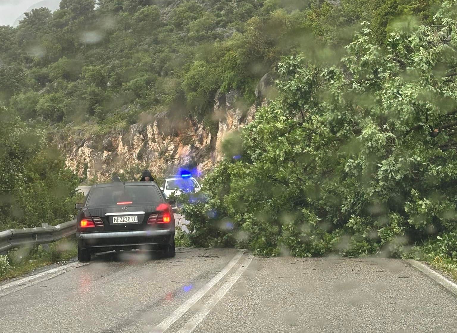 Πτώση δέντρου στην επαρχιακή οδό Μύτικα – Παλαίρου.