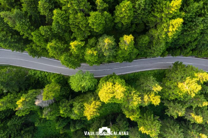 Από Τυμφρηστό μέχρι και τη Τεχνητή Λίμνη Ευήνου …..η φύση οργιάζει!