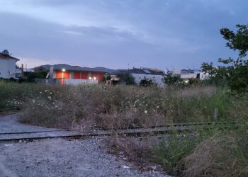 “Ζούγκλα” τα Αη Βασιλιώτικα Αγρινίου: “Που είναι οι αρμόδιοι;”, λένε οι κάτοικοι!