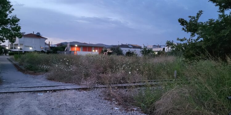 “Ζούγκλα” τα Αη Βασιλιώτικα Αγρινίου: “Που είναι οι αρμόδιοι;”, λένε οι κάτοικοι!